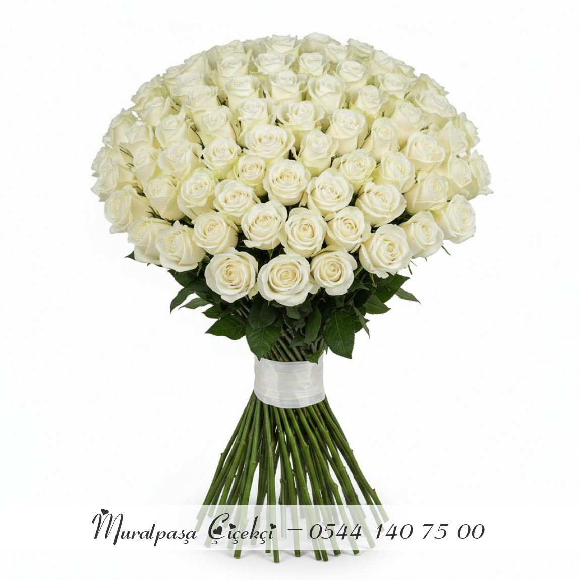 101 Adet İthal Beyaz Gül