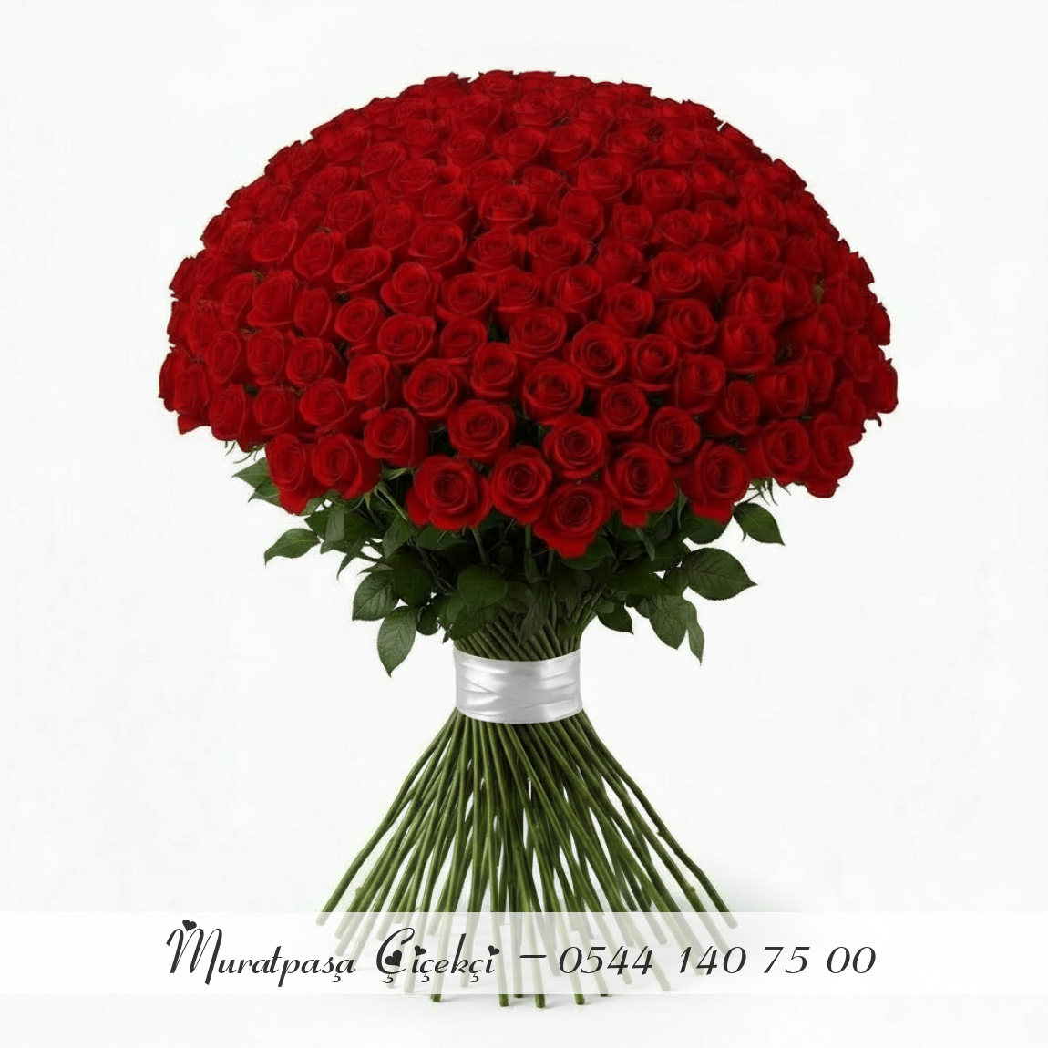 101 Adet İthal Kırmızı Gül
