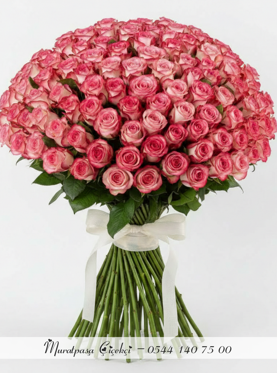 101 Adet İthal Pembe Beyaz Bicolor Gül