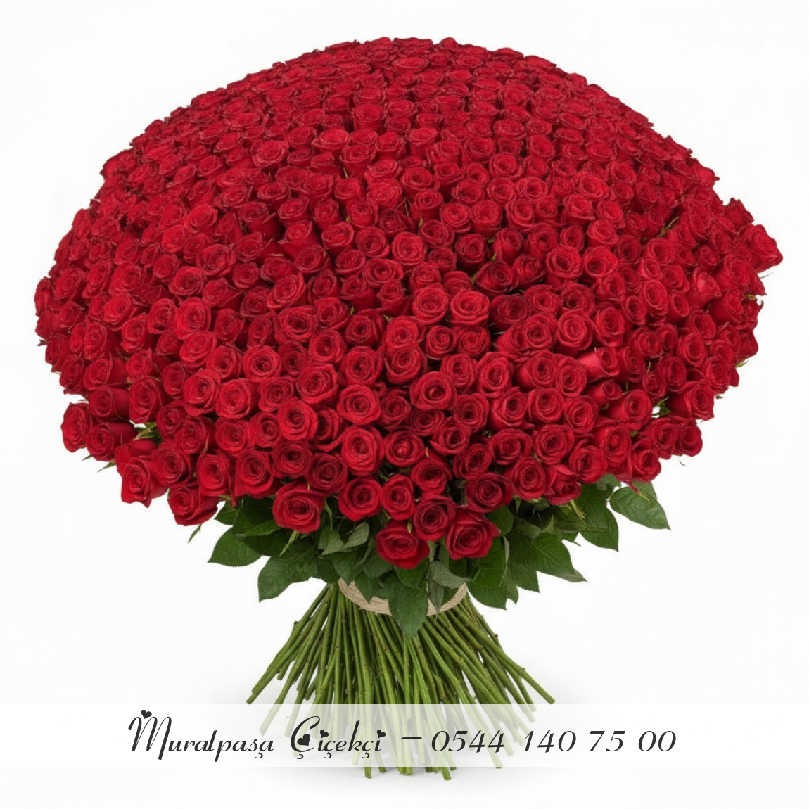 301 Adet İthal Kırmızı Gül 70Cm