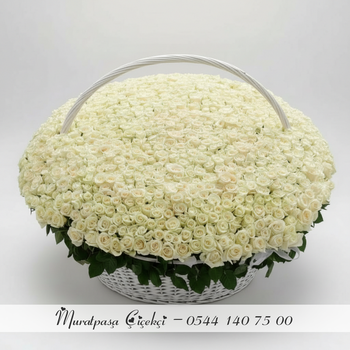 501 Adet İthal Beyaz Gül - Dev Beyaz Hasır Sepette