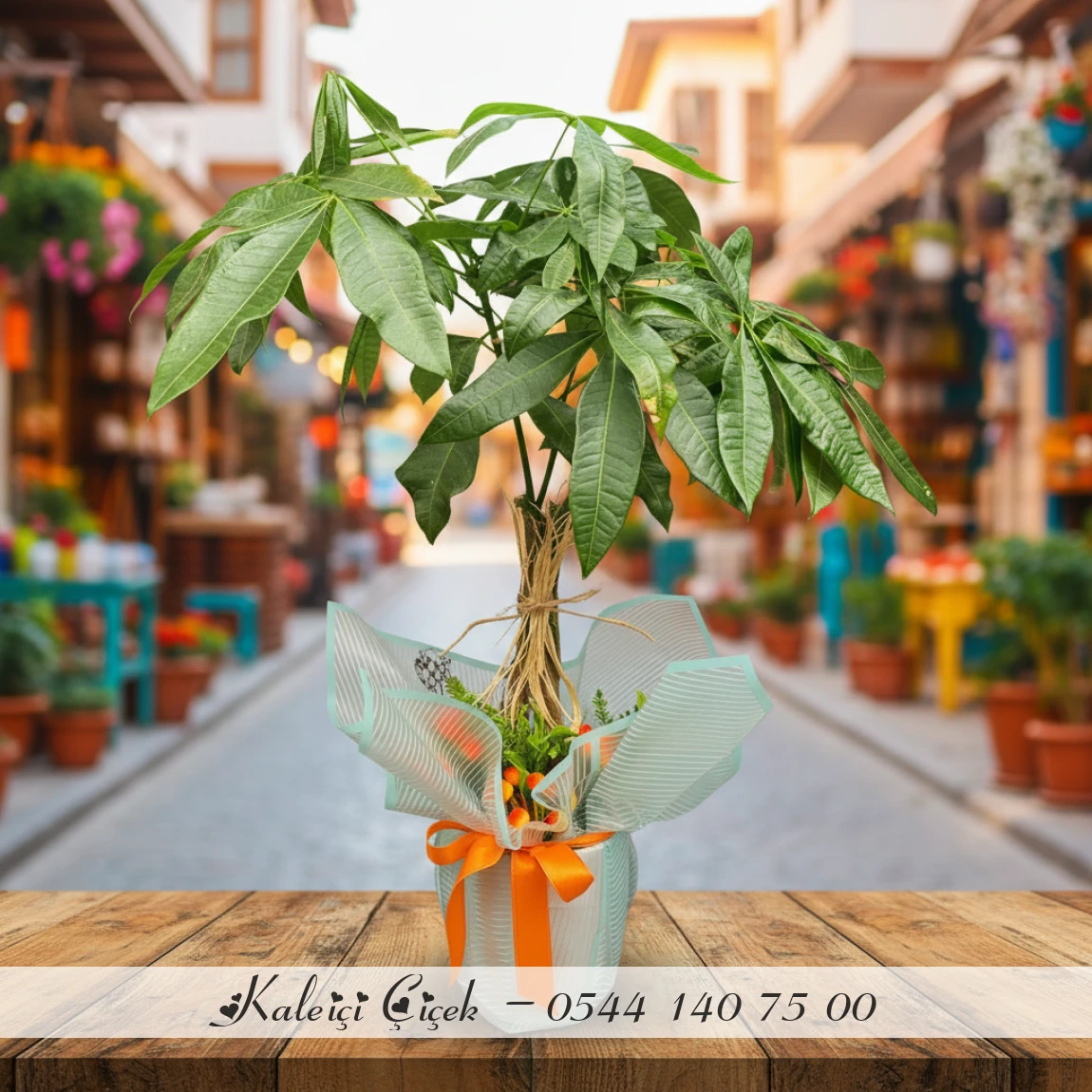 Bereket Getiren Para Ağacı