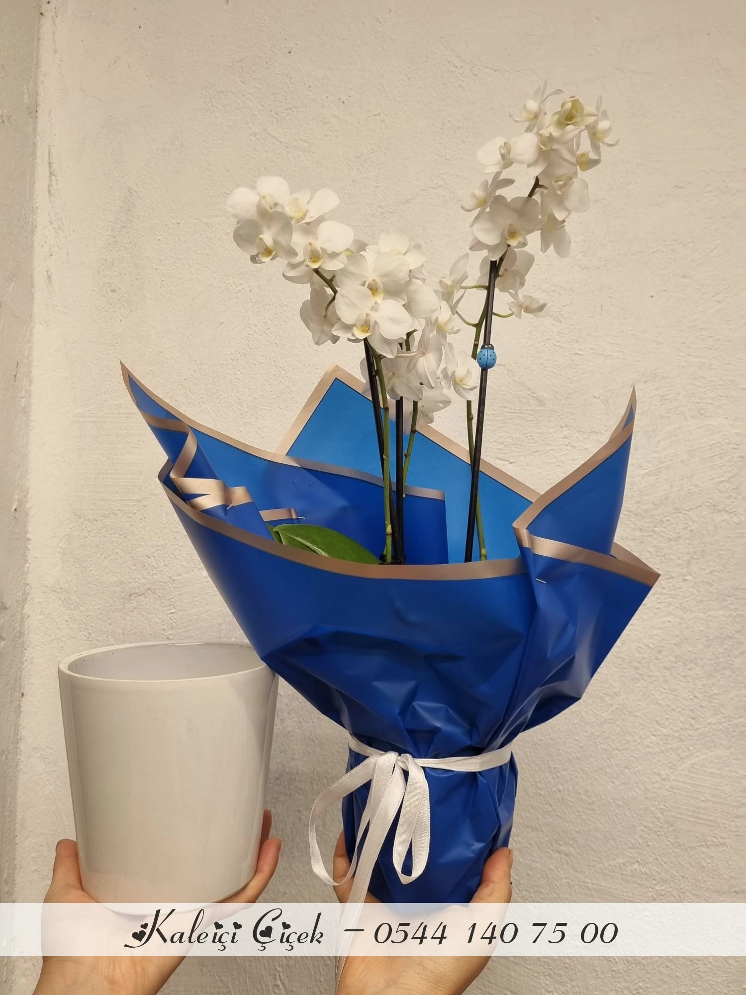 Beyaz Çift Dal Orkide Seramik Saksılı