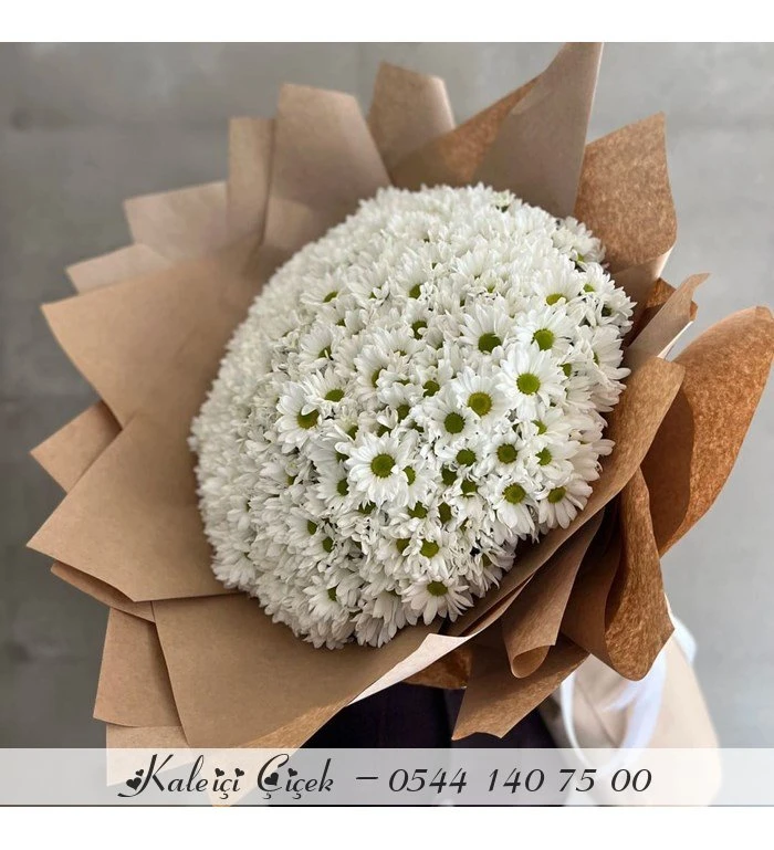 Kucak Dolusu İthal Papatya (Büyük)