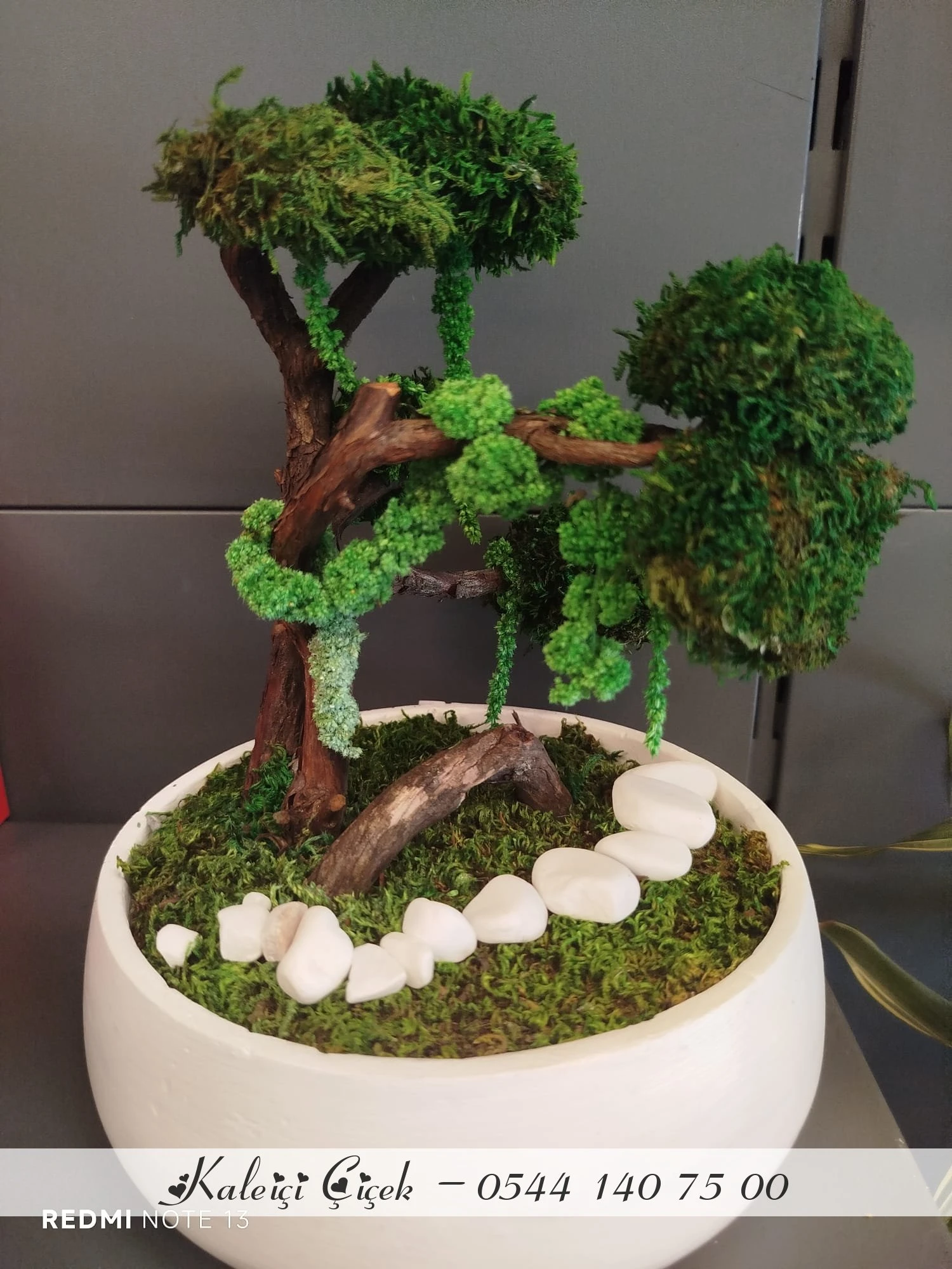 Mumyalanmış Bonzai̇