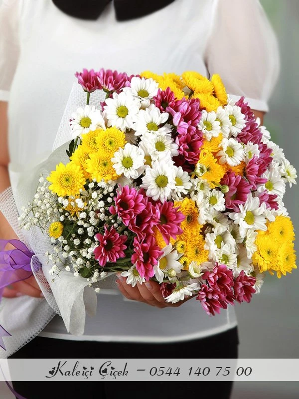 Papatya, Krizantem Ve Mini Gerberalar Büyük