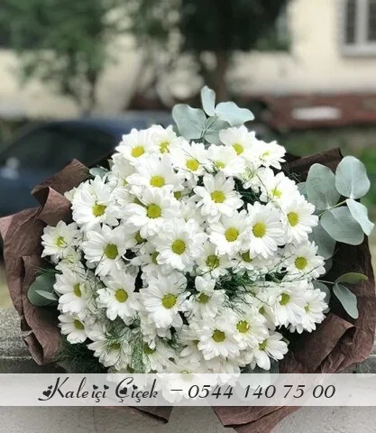 Papatya Ve Okaliptus Buketi