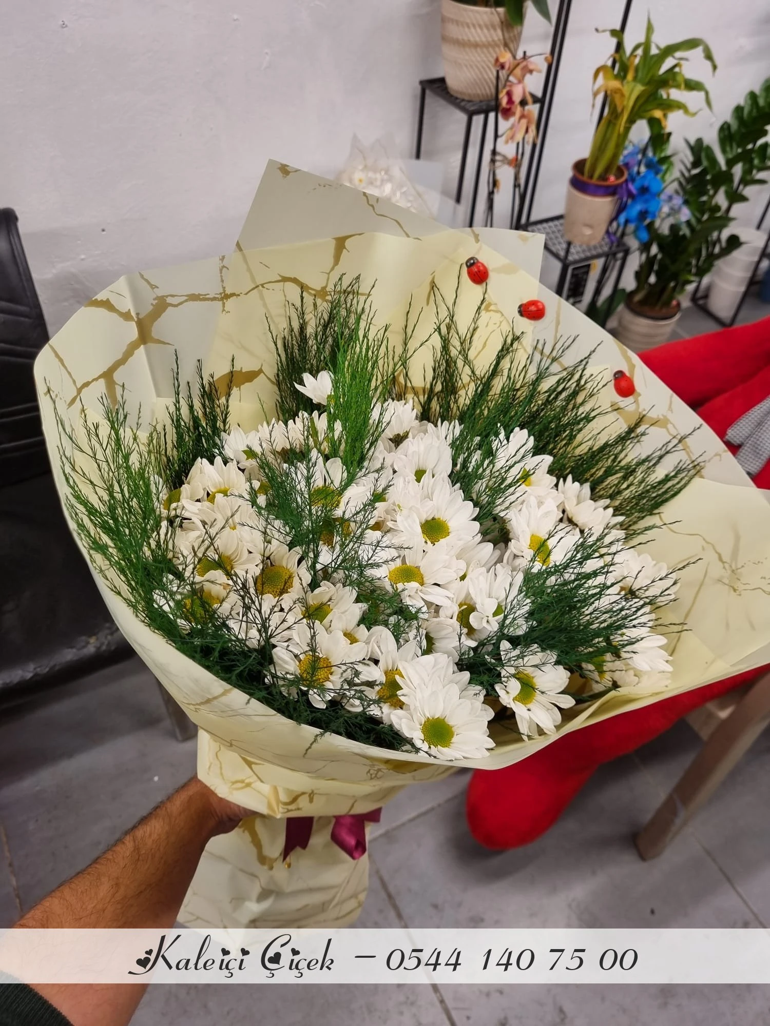 Sade Papatya Buketi̇