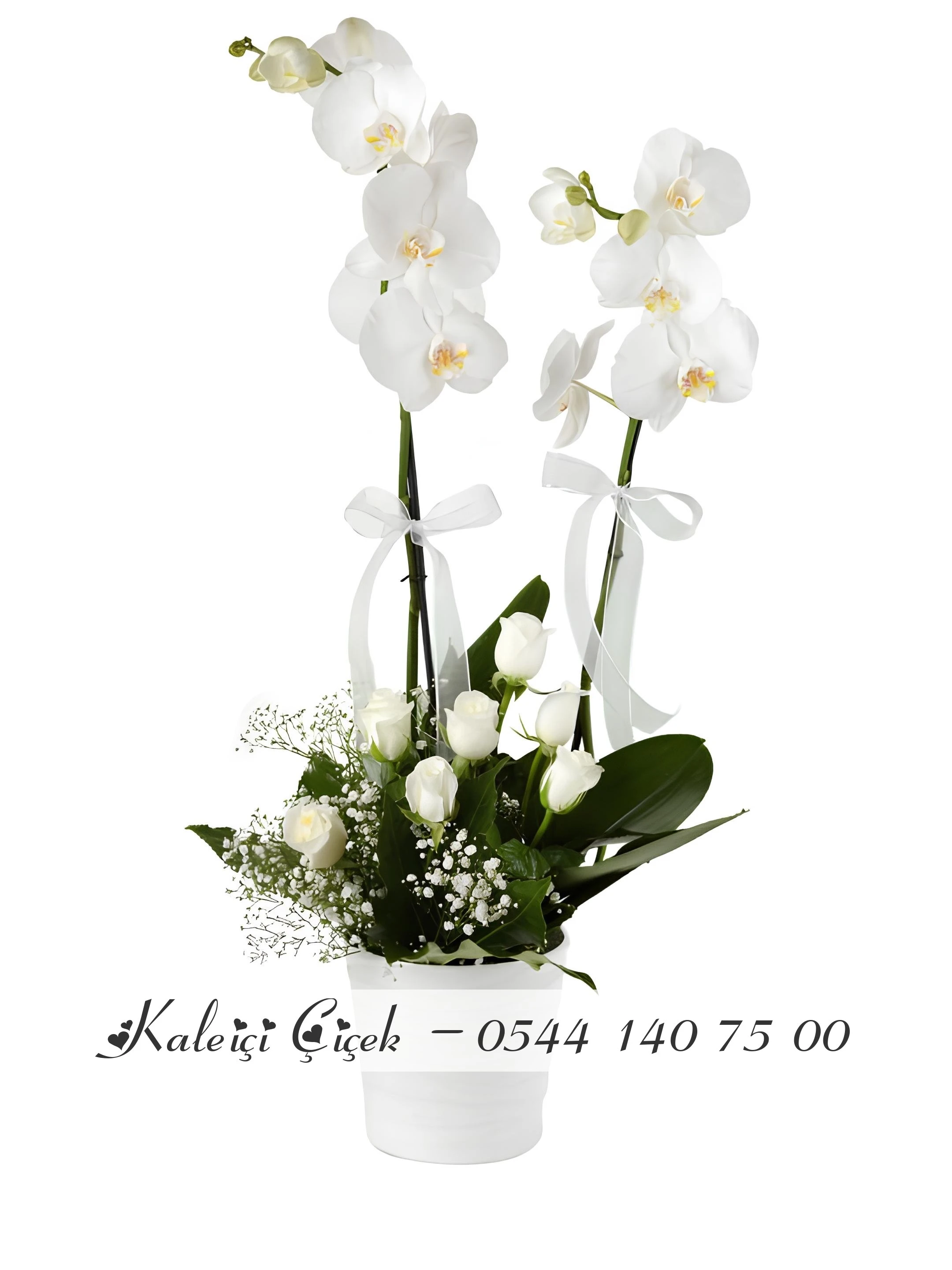Beyaz Gül Aranjmanlı 1.Sınıf İthal Çift Dal Orkide