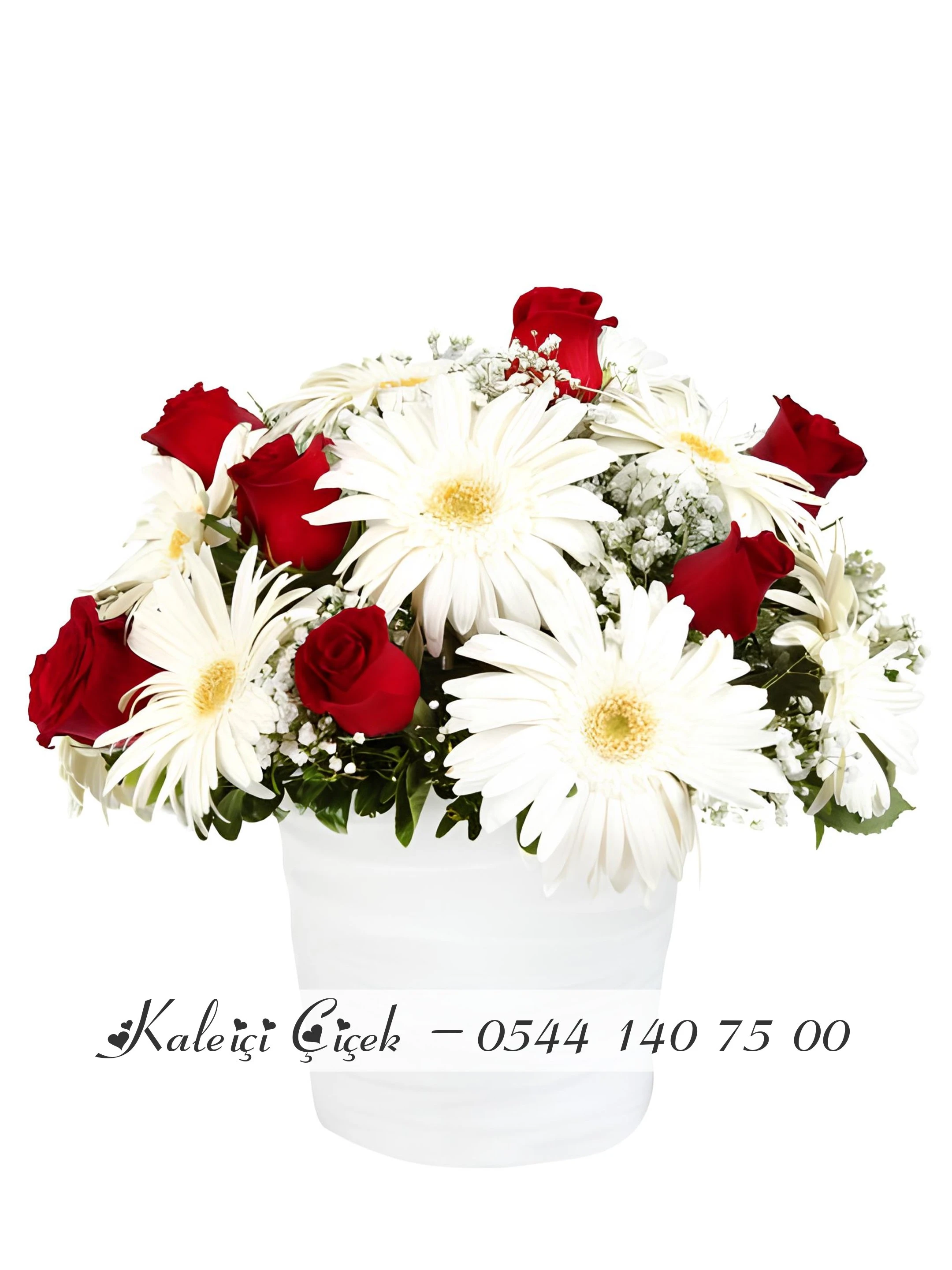 Saksıda Güller Ve Gerberalar