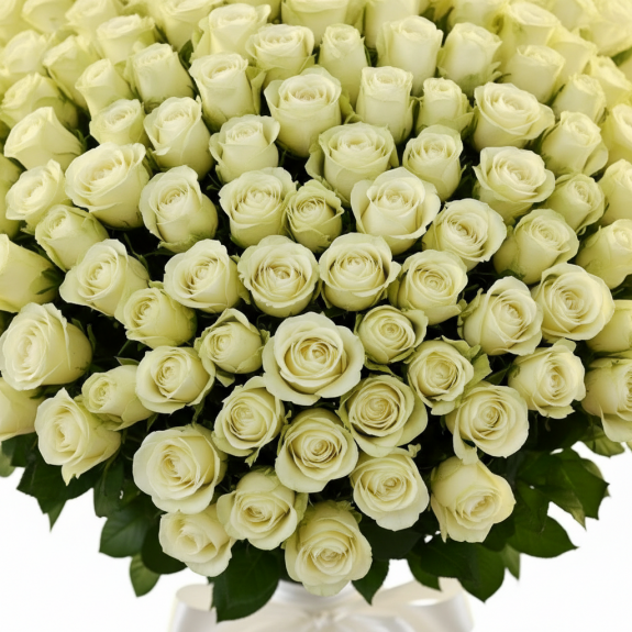 101 Adet İthal Beyaz Gül 70Cm