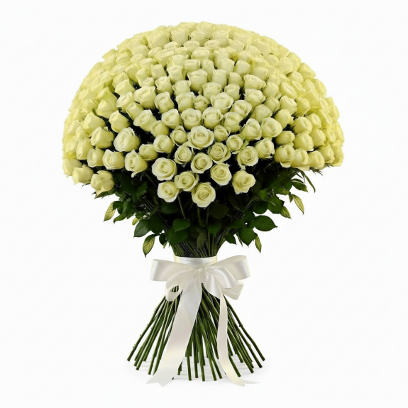 101 Adet İthal Beyaz Gül 70Cm