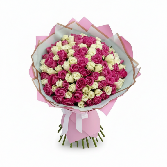 101 Adet İthal Fuşya Ve Beyaz Gül 70Cm