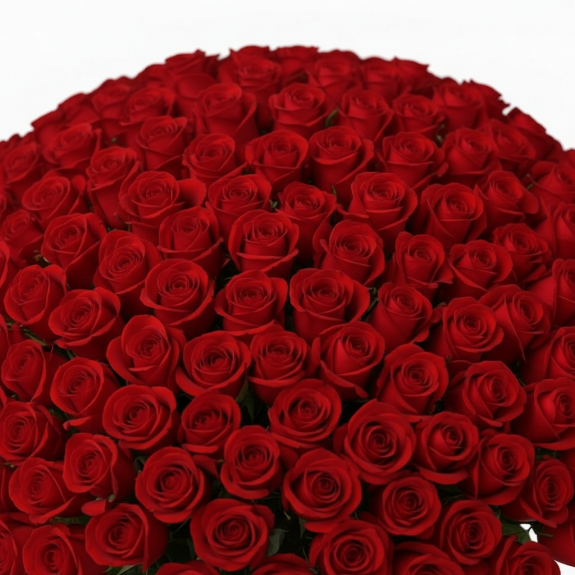 101 Adet İthal Kırmızı Gül