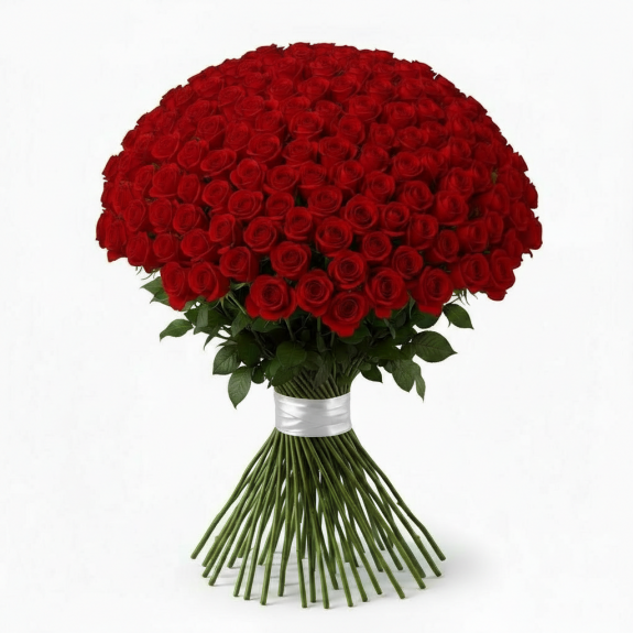 101 Adet İthal Kırmızı Gül