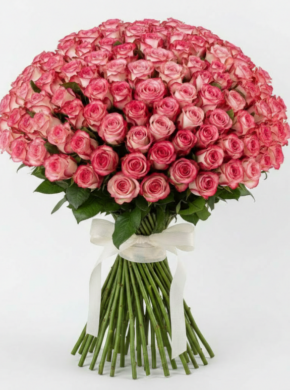 101 Adet İthal Pembe Beyaz Bicolor Gül