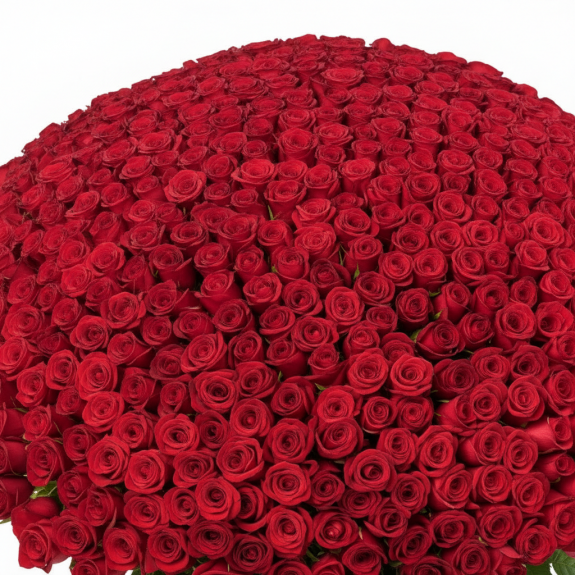 301 Adet İthal Kırmızı Gül 70Cm