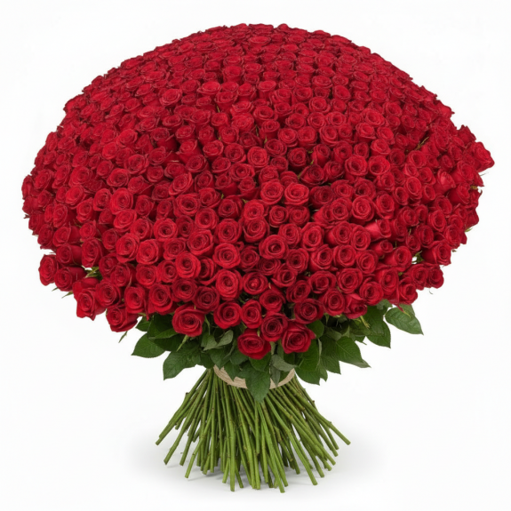 301 Adet İthal Kırmızı Gül 70Cm