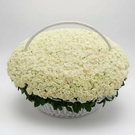 501 Adet İthal Beyaz Gül - Dev Beyaz Hasır Sepette