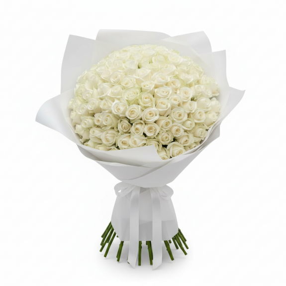 Beyaz Özel Ambalajda 101 Adet İthal Beyaz Gül