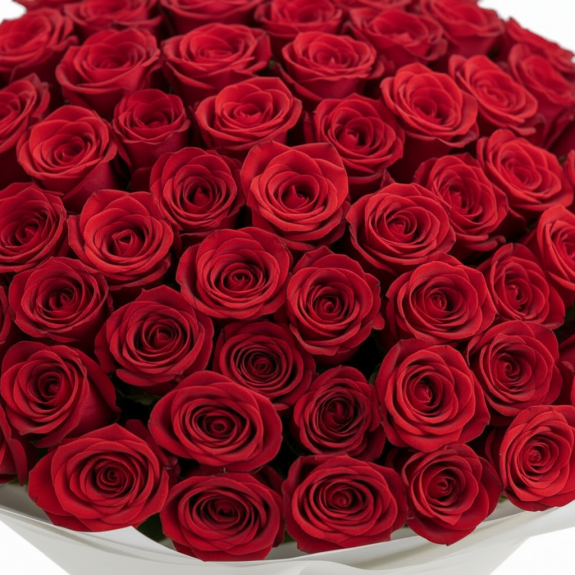 Beyaz Özel Ambalajda - 101 Adet İthal Kırmızı Gül