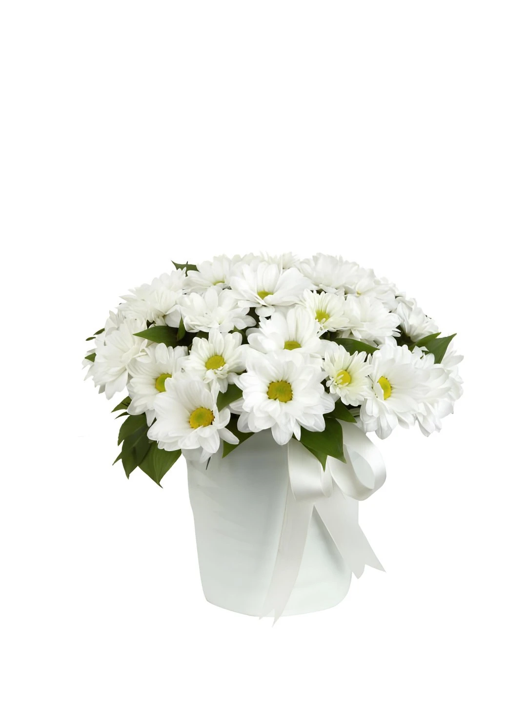 Cam Fanusta Papatyalar