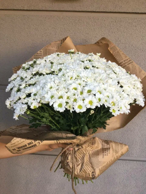 Gazete Kağıdında Büyük İthal Papatya Buketi