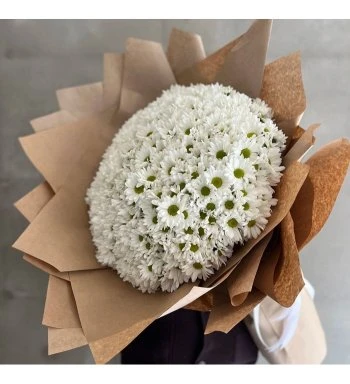 Kucak Dolusu İthal Papatya (Büyük)