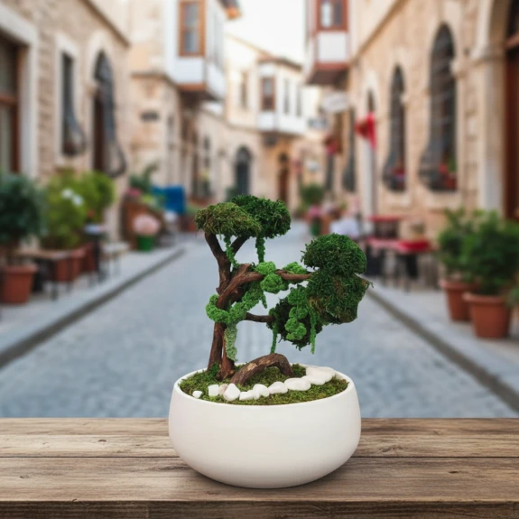 Mumyalanmış Bonzai̇