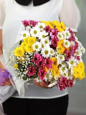 Papatya, Krizantem Ve Mini Gerberalar Büyük