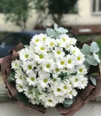 Papatya Ve Okaliptus Buketi