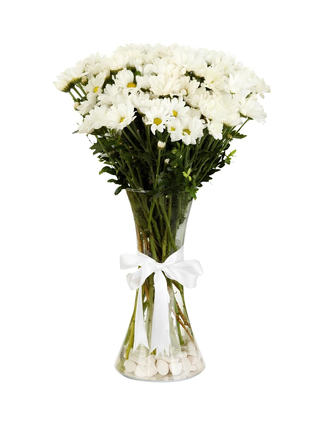 Vazoda İthal Papatya Krizantem