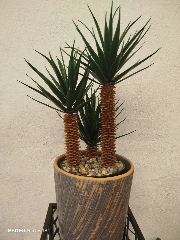 Yapay Mi̇ni̇ Yukka Ağaci Serami̇k Saksili