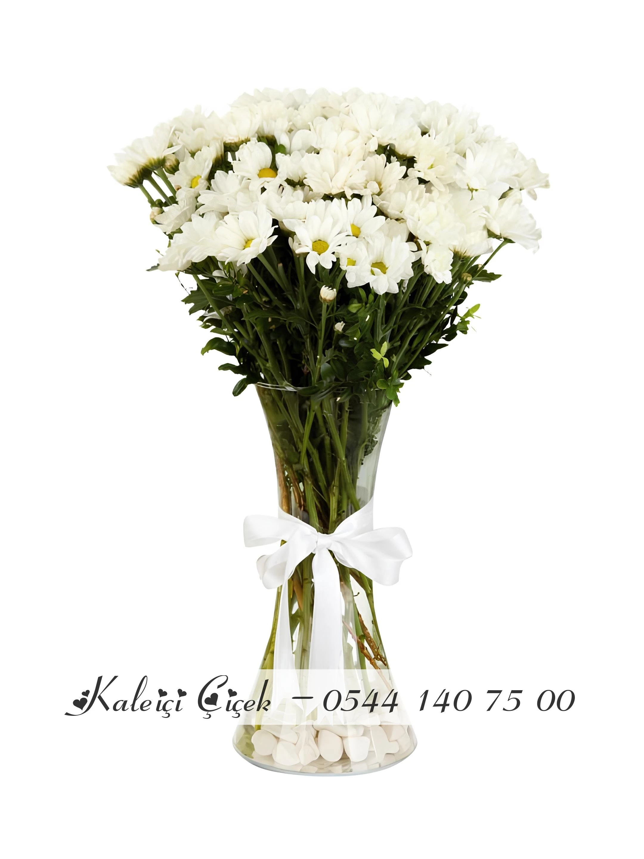 Vazoda İthal Papatya Krizantem