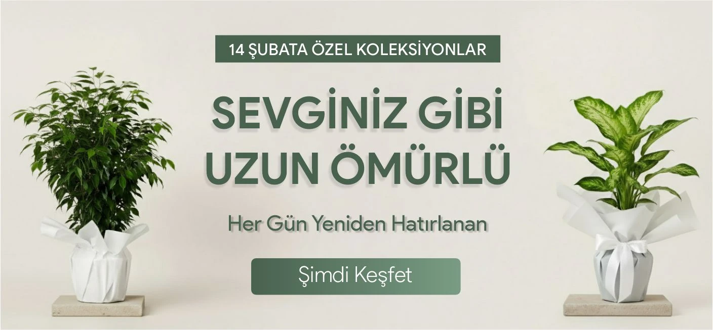 Sliders - Muratpaşa Çiçekçi